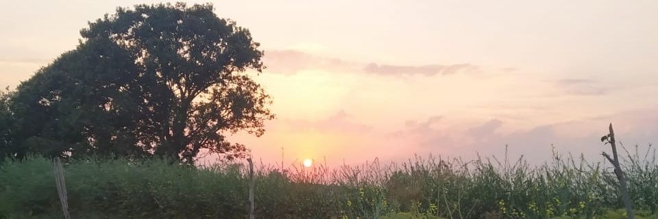 TheSunilKumar07's profile banner image