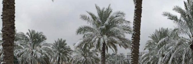 M.H. Alfityan banner