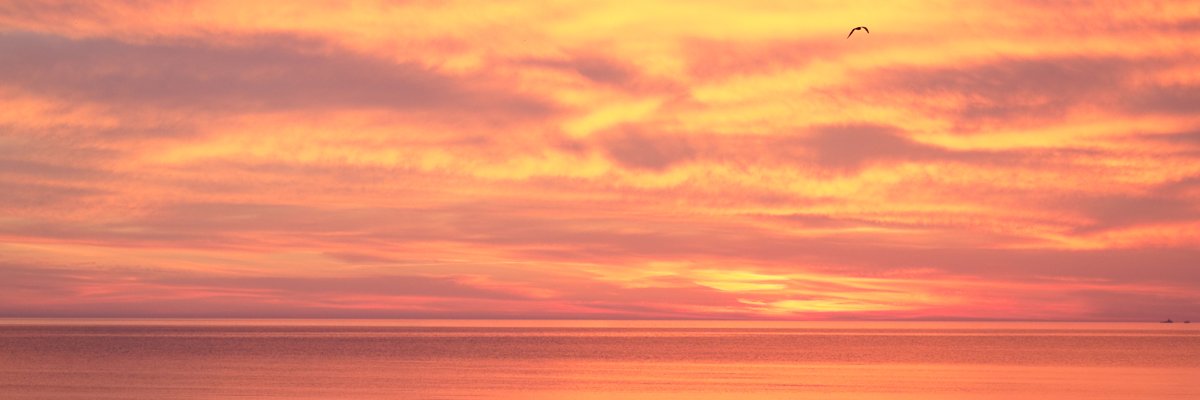 OnlyRuta's profile banner image