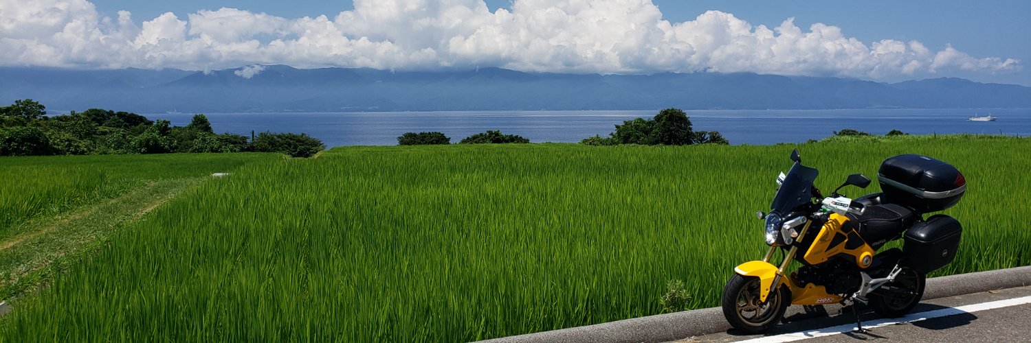 m.kimura banner