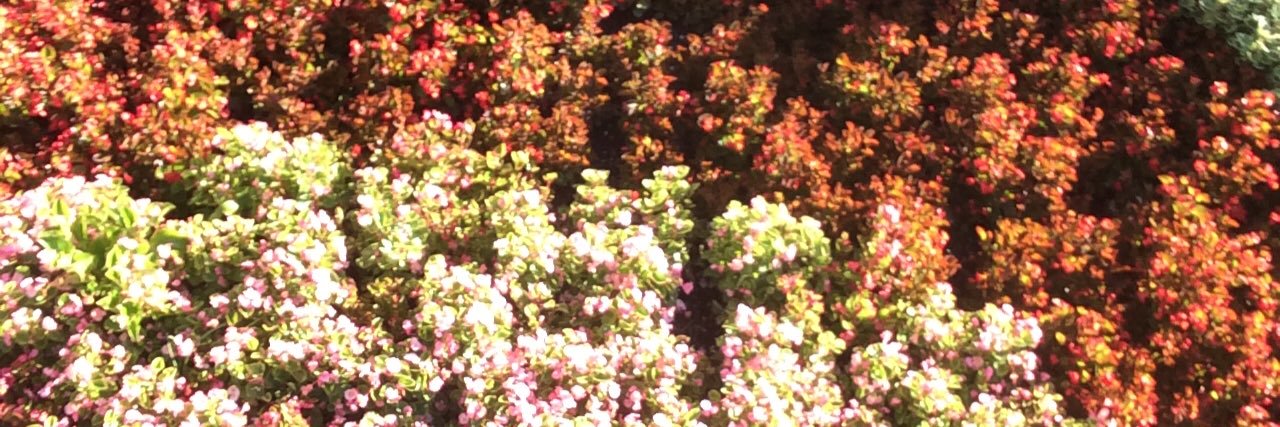 maksim9978's profile banner image