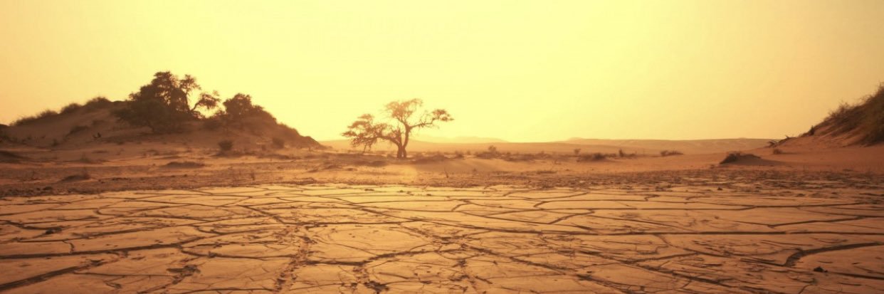 joufeah's profile banner image