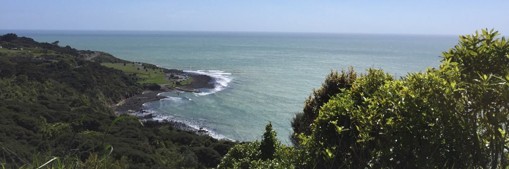 sam_rapira's profile banner image