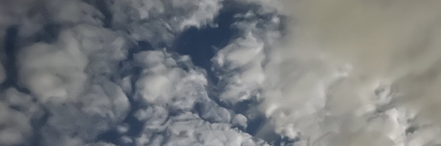 berriesforharry's profile banner image