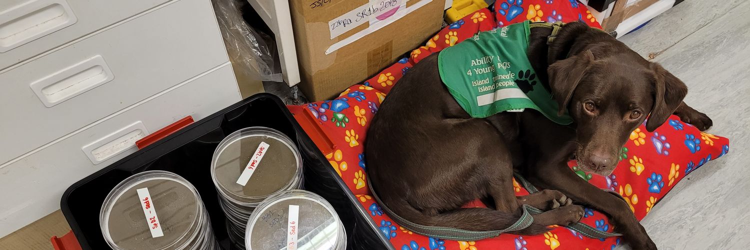 Isabelle Cooper banner