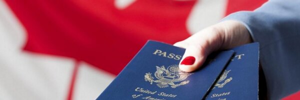 qlseeker Profile Banner