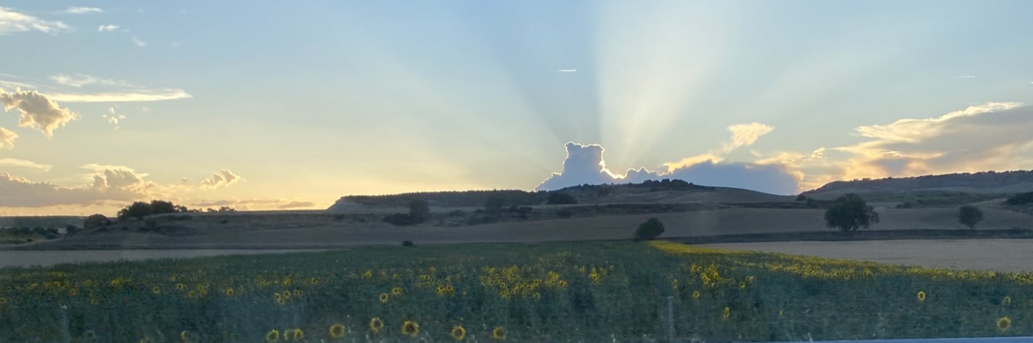 LoreOrtizC's profile banner image