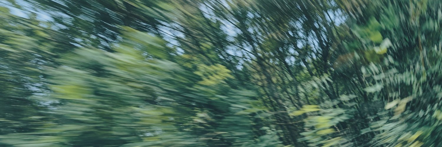 guillerm0av's profile banner image