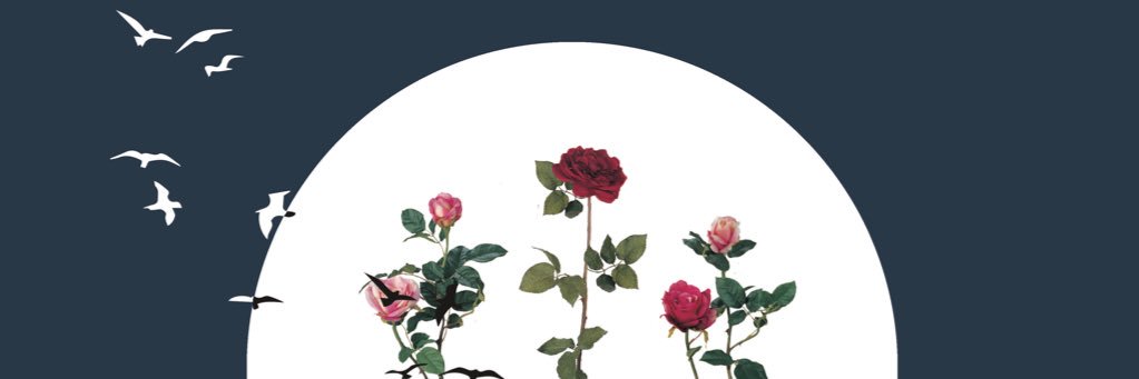 SweetNotionB's profile banner image