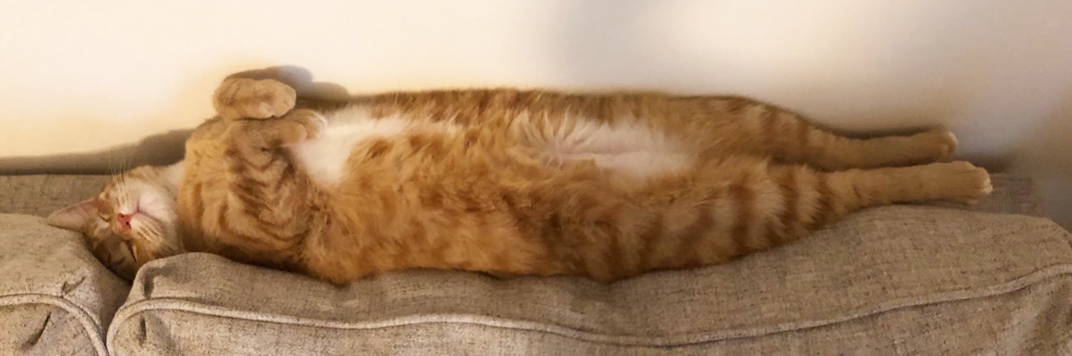 Lexi ☼ banner