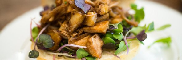 animalLkitchen's profile banner image