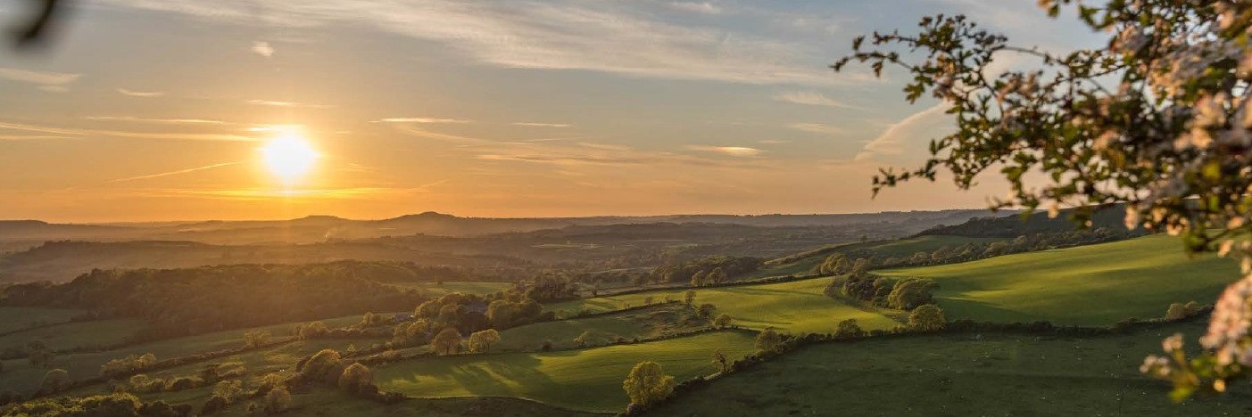 Stepping into Nature banner
