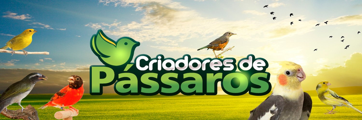 canalcripass's profile banner image