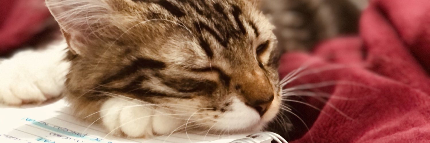 MirazoM10's profile banner image
