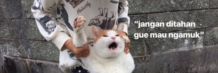 adrianeko's profile banner image