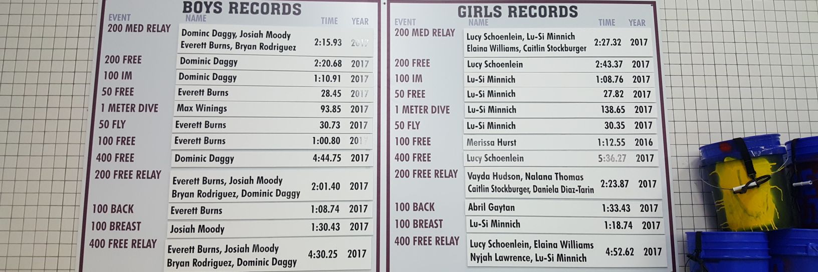 BMS SwimDive Team banner