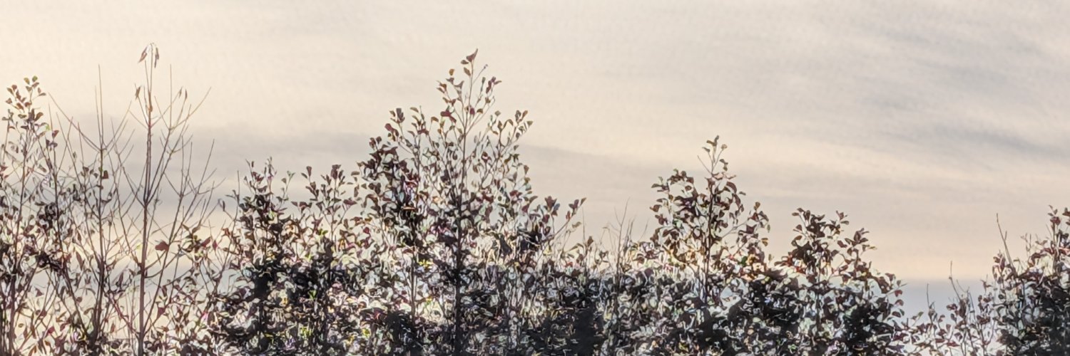 heveeax's profile banner image