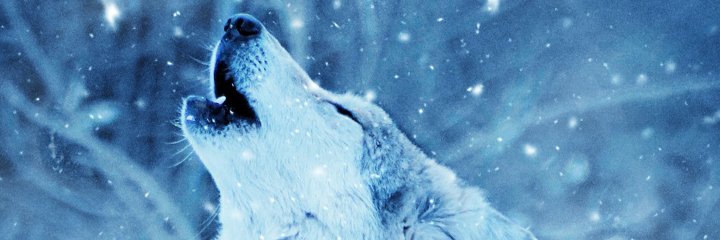 Ndmarshka's profile banner image
