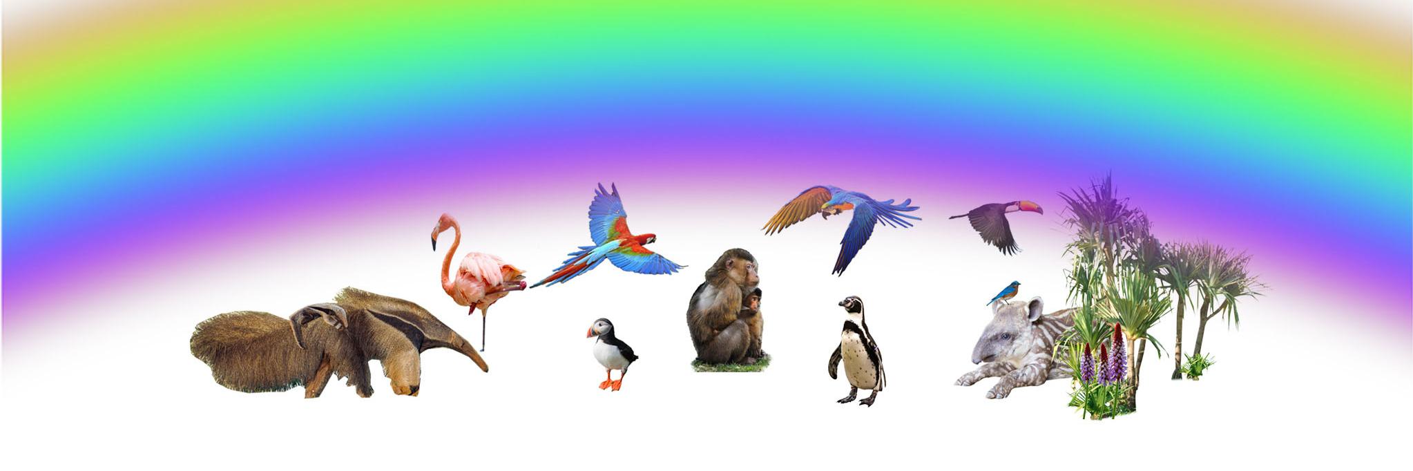 MaravPlanetAzul's profile banner image