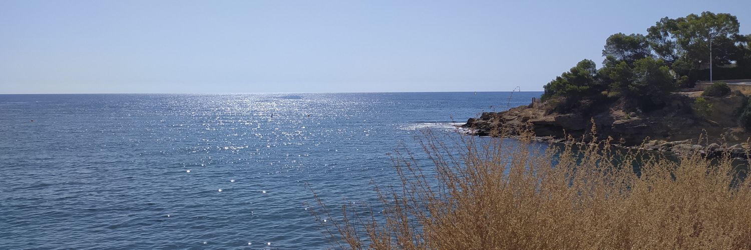 chaaconeado's profile banner image
