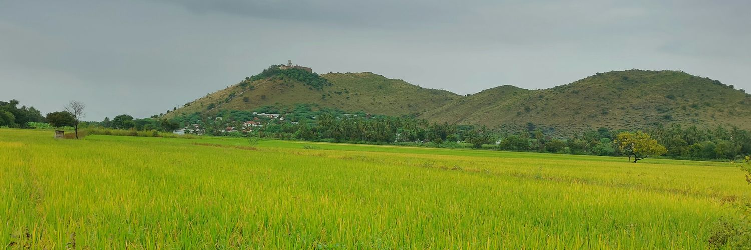 gemogopi's profile banner image