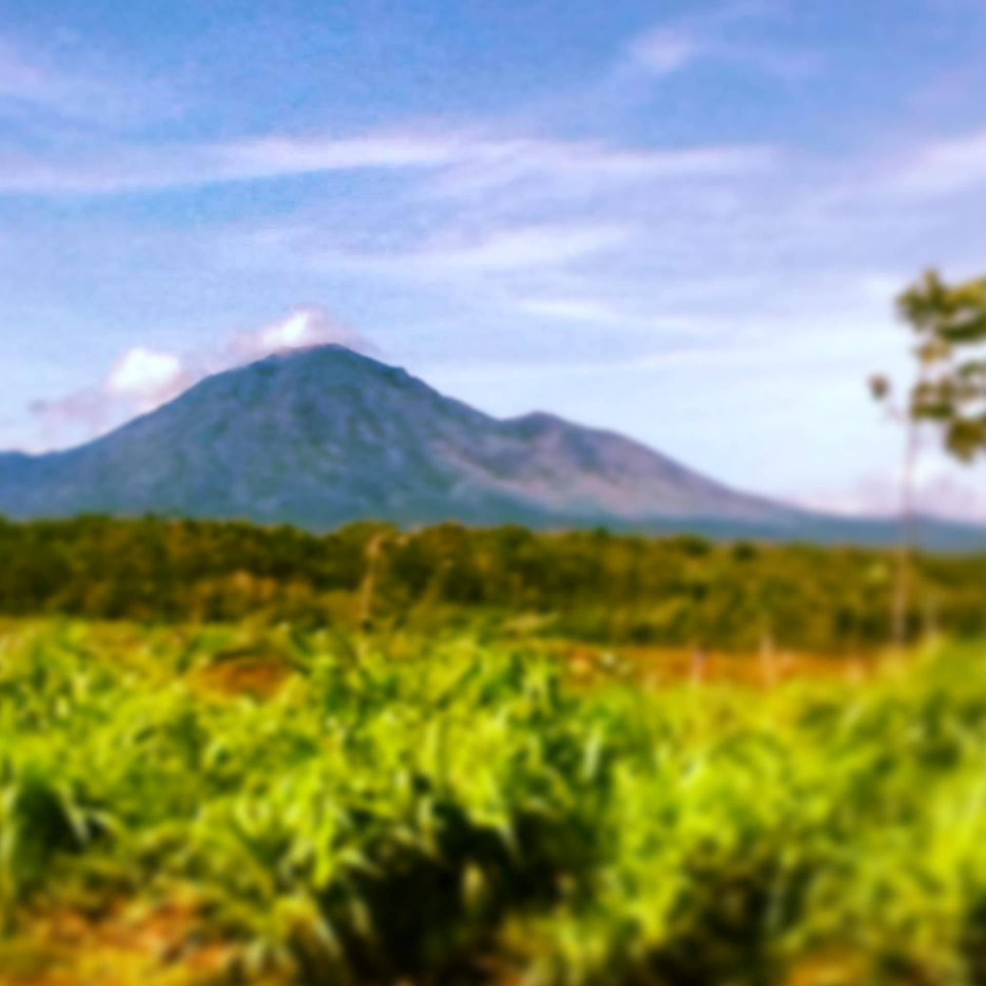 realsukmanaFu's profile banner image