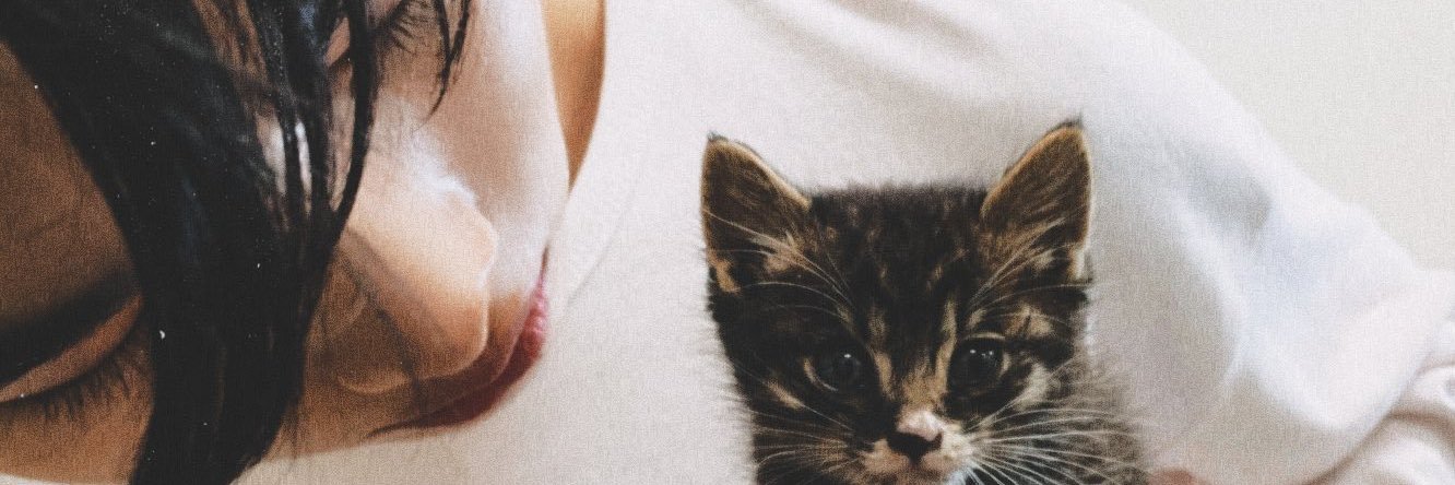 calittlethings's profile banner image