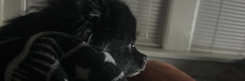 cherrycowboy's profile banner image