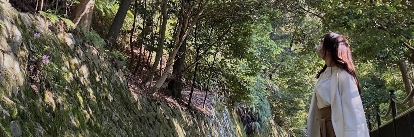 hooly728's profile banner image