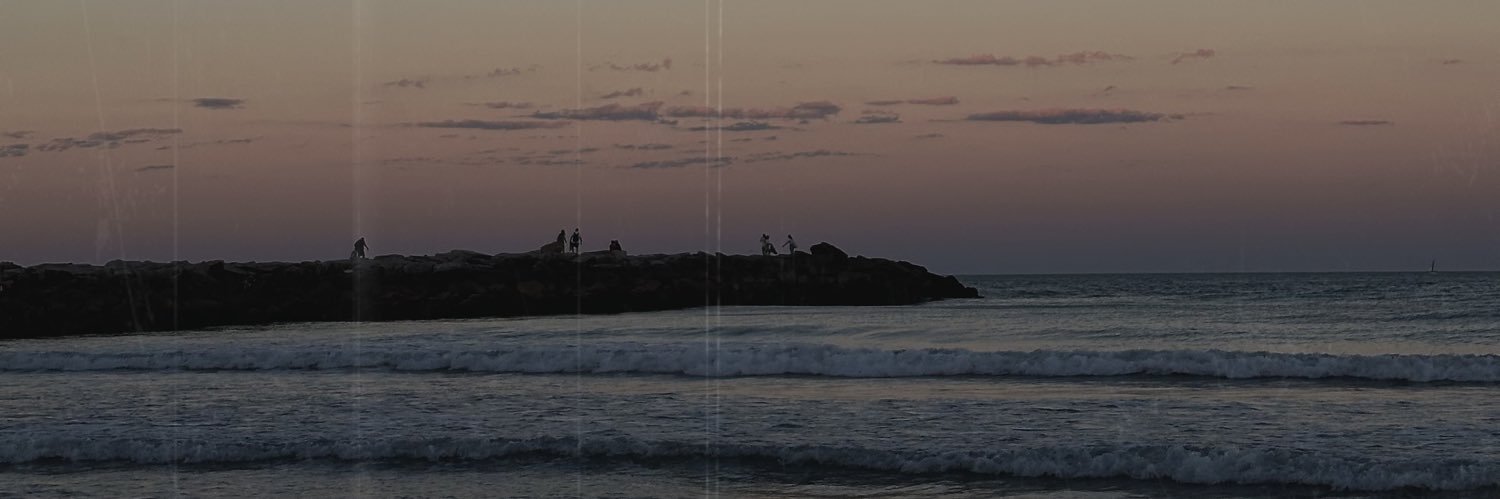 fioredi__'s profile banner image