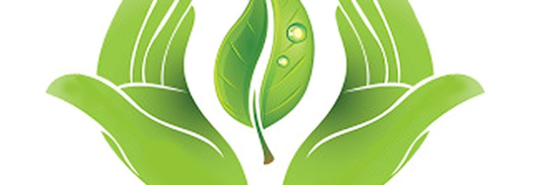 holisticmagic's profile banner image