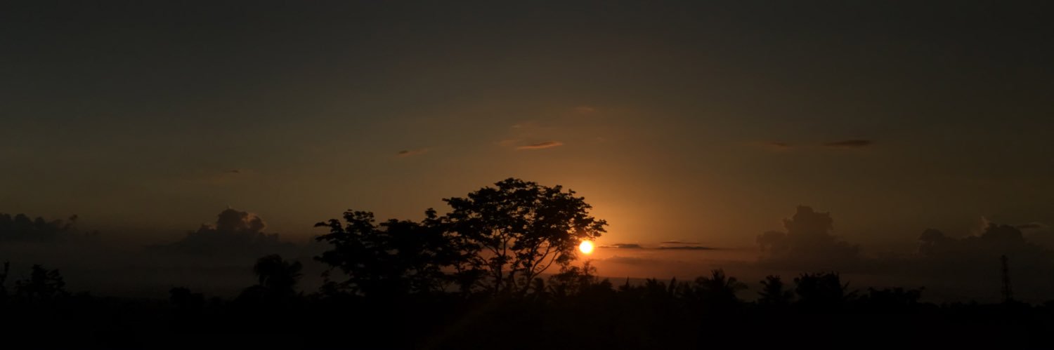 ellatootsy's profile banner image