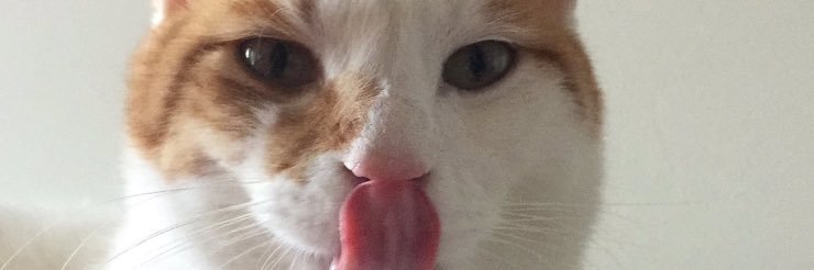 didumeaned's profile banner image