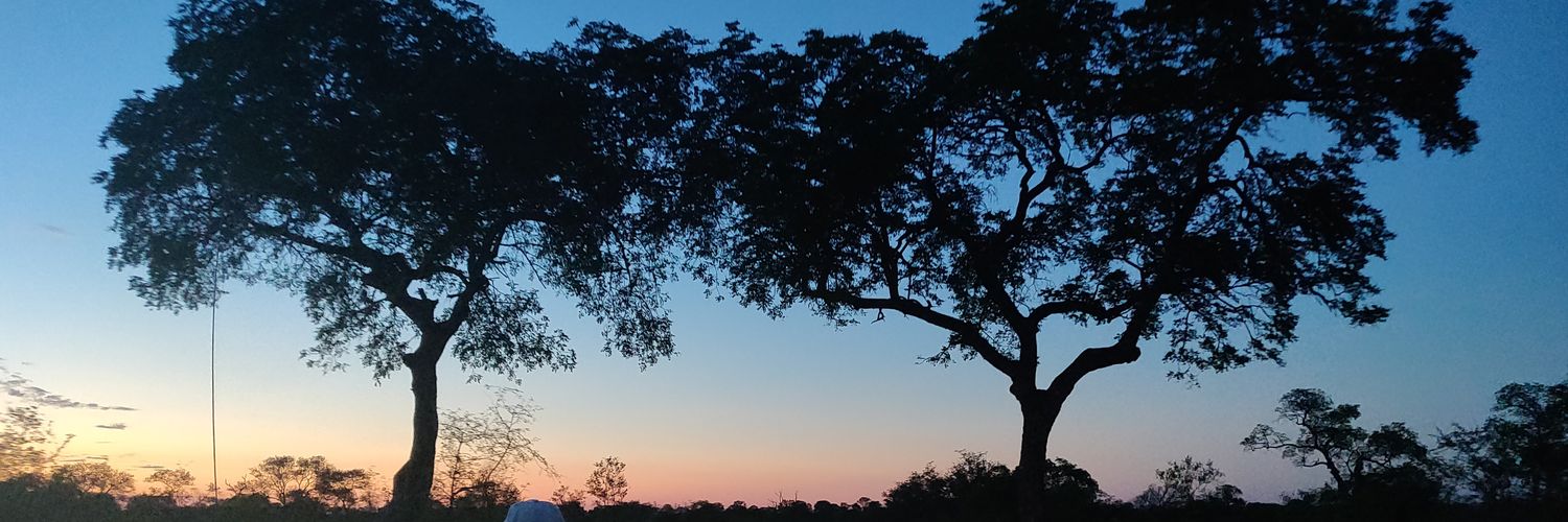 annsimila's profile banner image