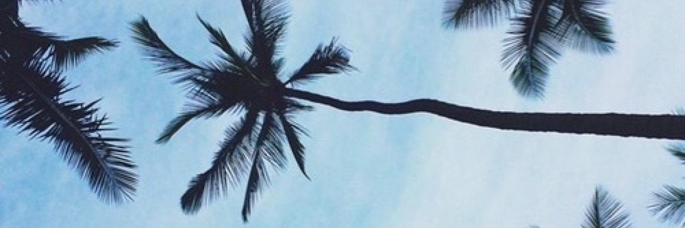 rnagcons's profile banner image
