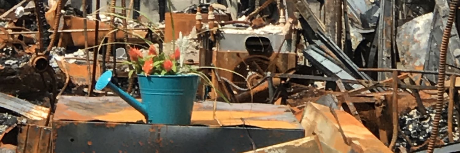 sarah saarela banner