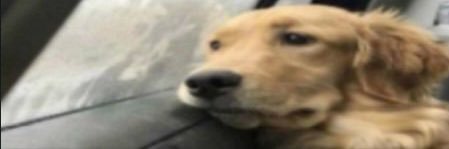 rbmhs_'s profile banner image