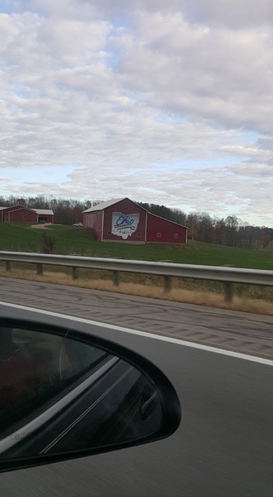 Alicia Stockman banner