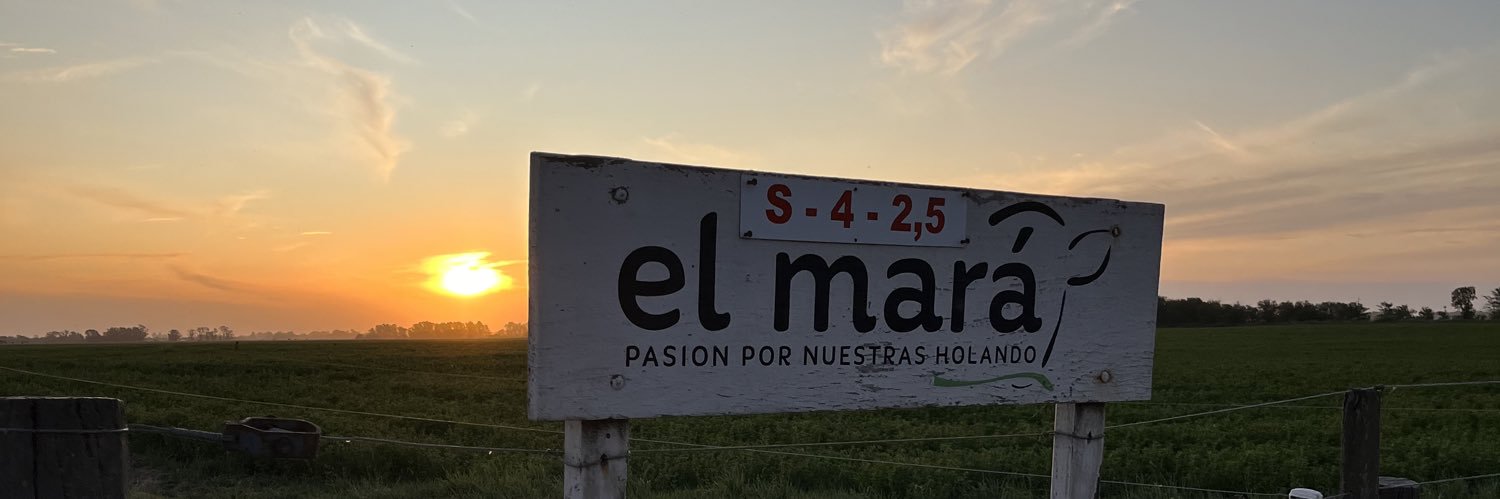 Gui+ banner