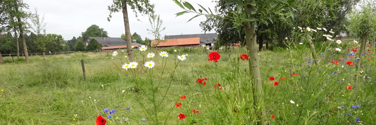 PCPMLimburg's profile banner image