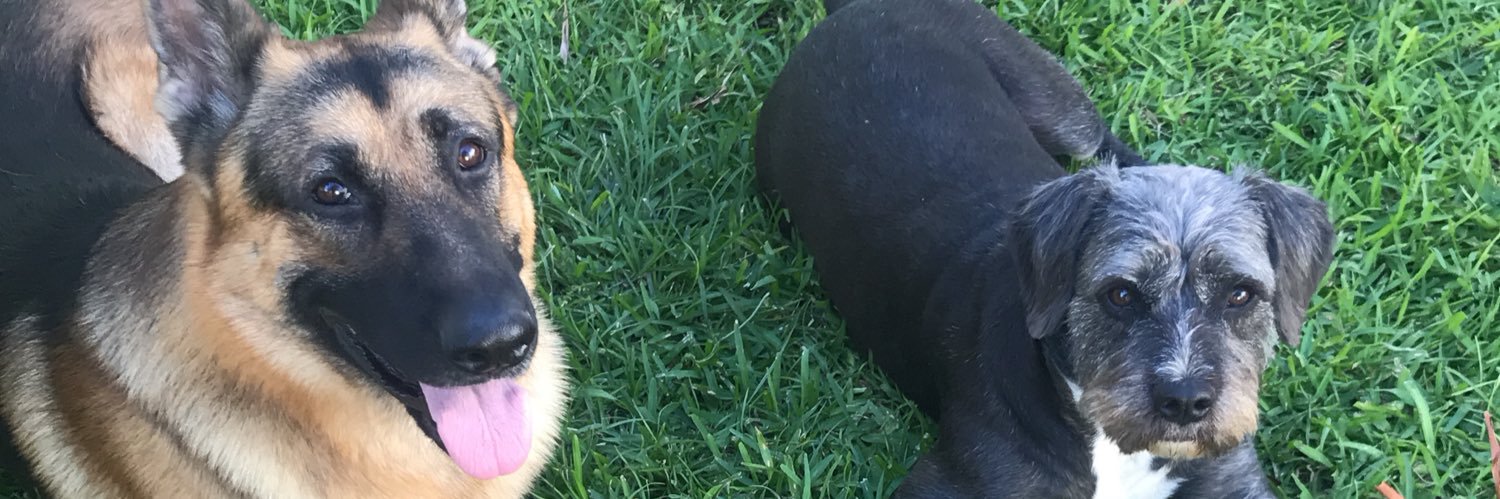 hughesa03's profile banner image