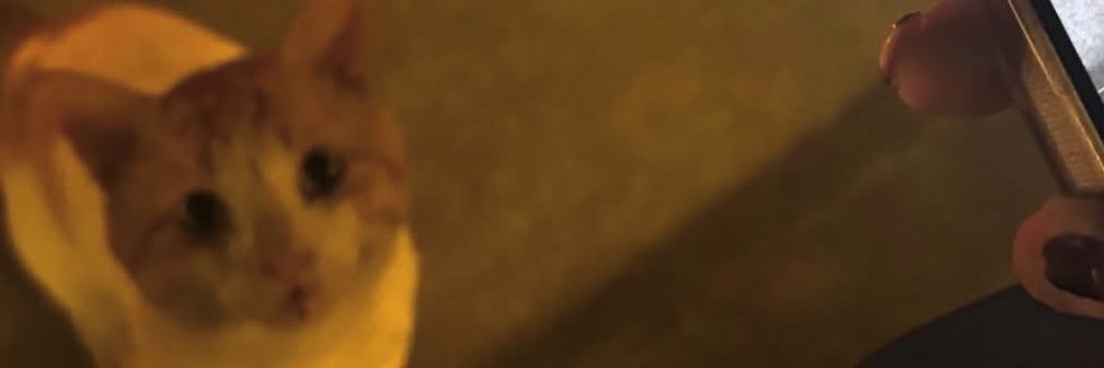 kheikhl__'s profile banner image
