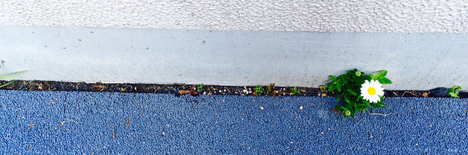 broccoli_club's profile banner image