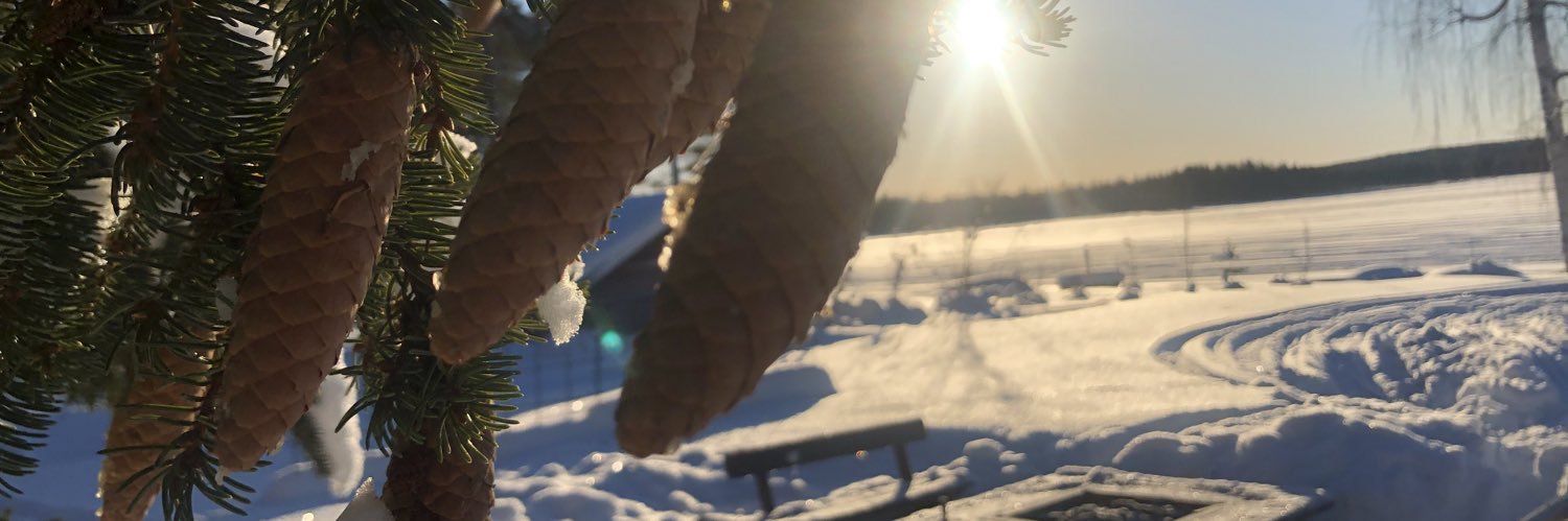 im_drops's profile banner image