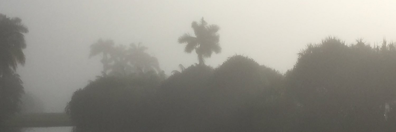 Delacamara5's profile banner image