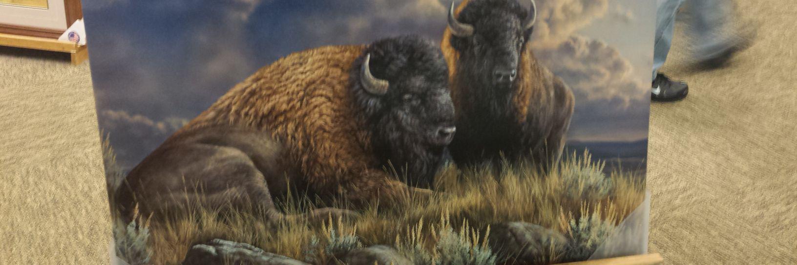 wyld199's profile banner image