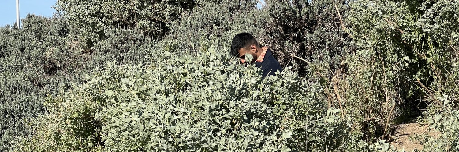 AakashEssrani's profile banner image