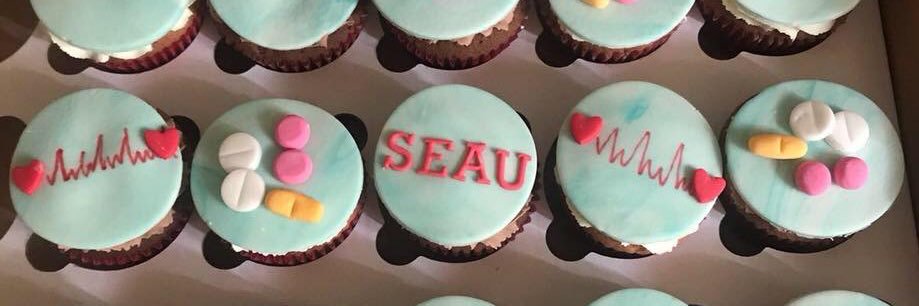 SEAU/SAU ULHT banner