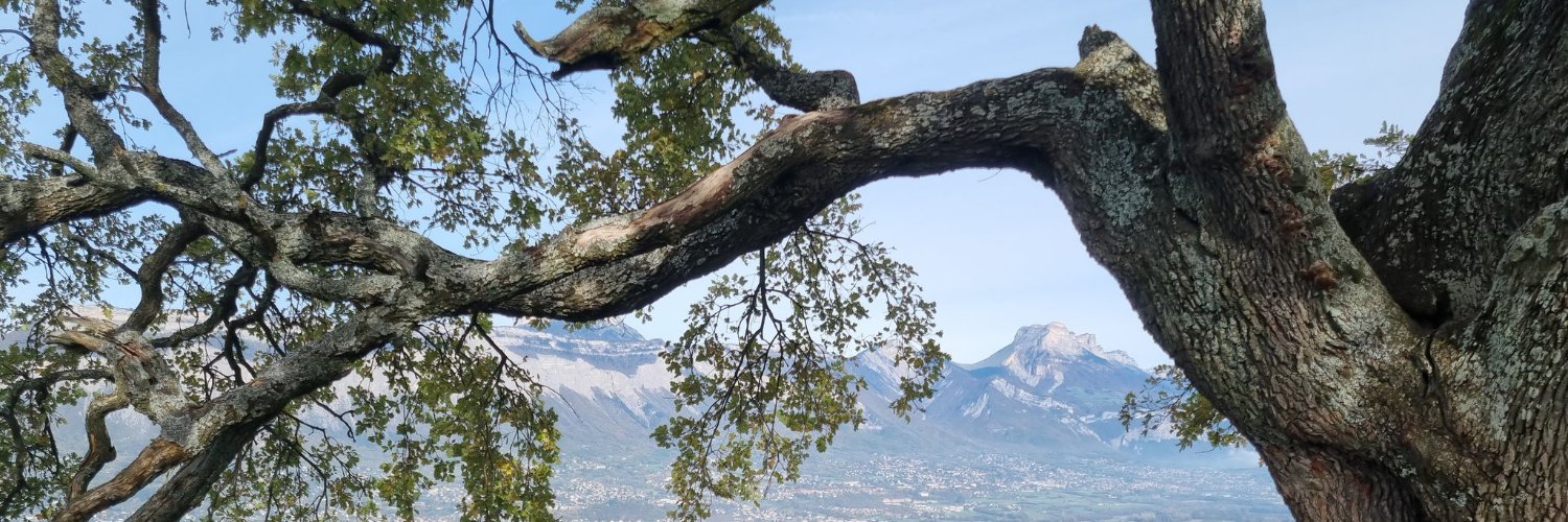 Vanessa Laime banner