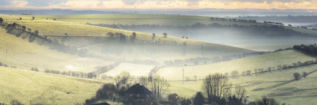 BrightonHODS's profile banner image
